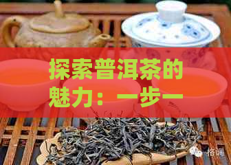 探索普洱茶的魅力：一步一步教你制作完美茶坨