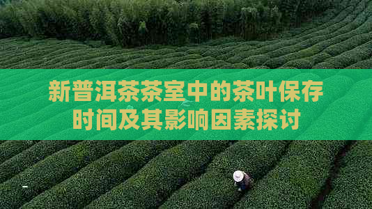 新普洱茶茶室中的茶叶保存时间及其影响因素探讨