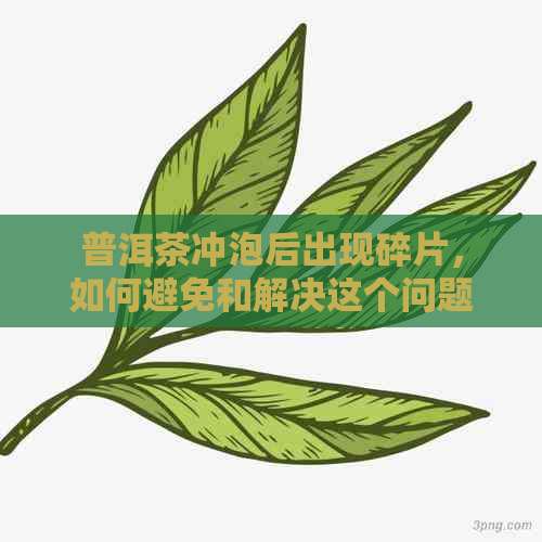 普洱茶冲泡后出现碎片，如何避免和解决这个问题？