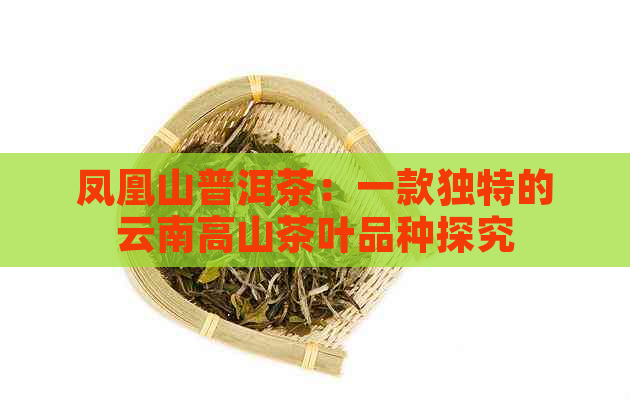 凤凰山普洱茶：一款独特的云南高山茶叶品种探究