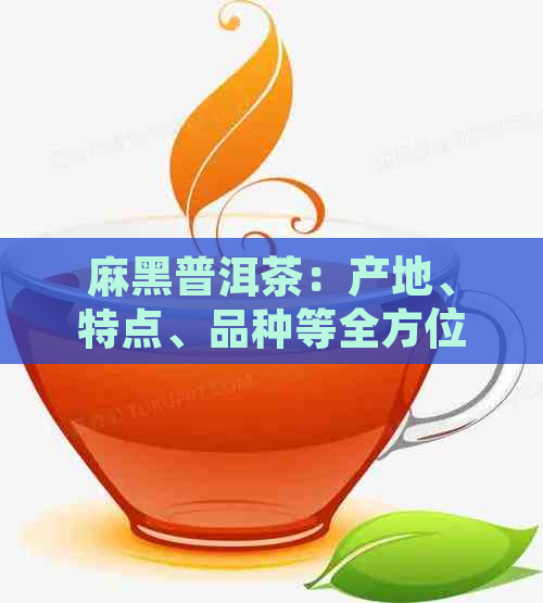 麻黑普洱茶：产地、特点、品种等全方位解析，助您轻松辨别和品鉴！