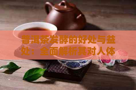 普洱茶发酵的好处与益处：全面解析其对人体健的多方面影响