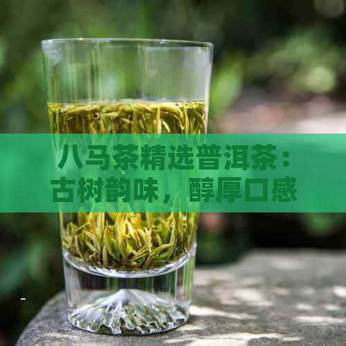 八马茶精选普洱茶：古树韵味，醇厚口感，健之选