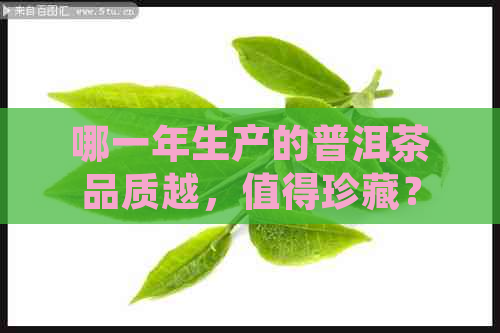 哪一年生产的普洱茶品质越，值得珍藏？