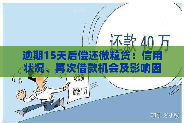 逾期15天后偿还微粒贷：信用状况、再次借款机会及影响因素分析