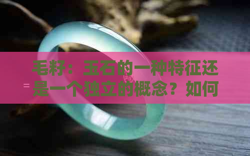 毛籽：玉石的一种特征还是一个独立的概念？如何区分和鉴赏？