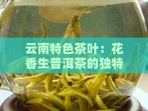 云南特色茶叶：花香生普洱茶的独特魅力与品鉴方法