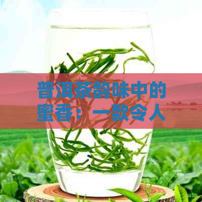 普洱茶韵味中的蜜香：一款令人醉的茶叶体验