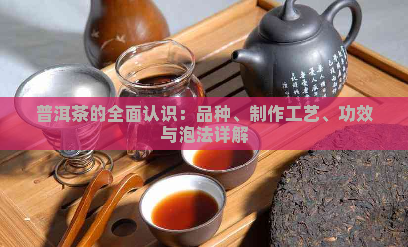 普洱茶的全面认识：品种、制作工艺、功效与泡法详解