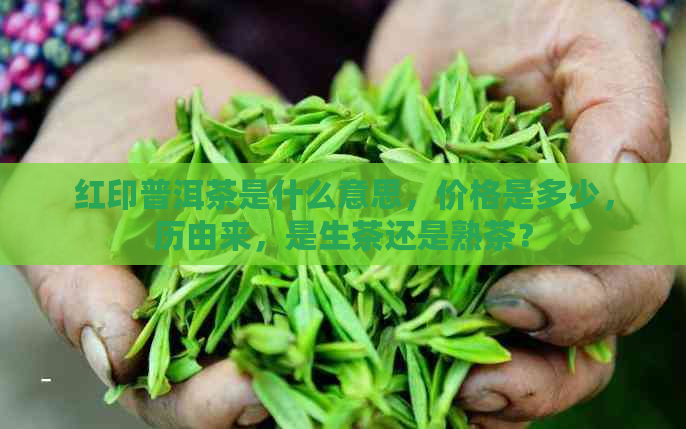 红印普洱茶是什么意思，价格是多少，历由来，是生茶还是熟茶？