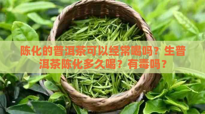 陈化的普洱茶可以经常喝吗？生普洱茶陈化多久喝？有吗？