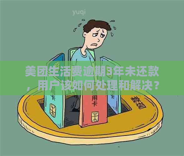 美团生活费逾期3年未还款，用户该如何处理和解决？