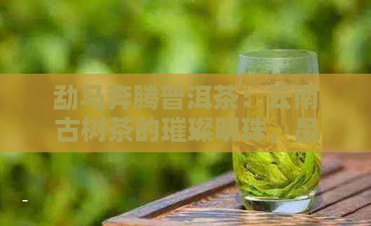 勐马奔腾普洱茶：云南古树茶的璀璨明珠，品味醇厚千年传承