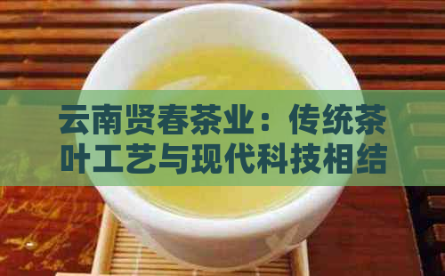 云南贤春茶业：传统茶叶工艺与现代科技相结合的创新领导者