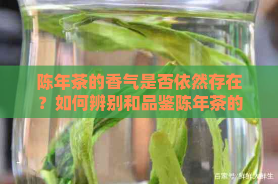 陈年茶的香气是否依然存在？如何辨别和品鉴陈年茶的蜜香？