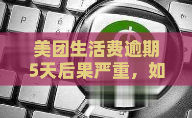 美团生活费逾期5天后果严重，如何解决？逾期还款全攻略来了！