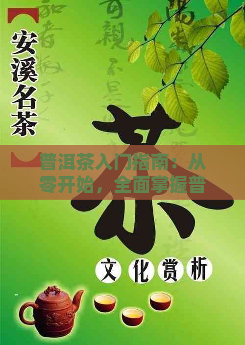 普洱茶入门指南：从零开始，全面掌握普洱茶制作与品鉴技巧