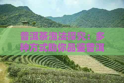 普洱茶泡法探究：多种方式助你品鉴普洱茶的韵味