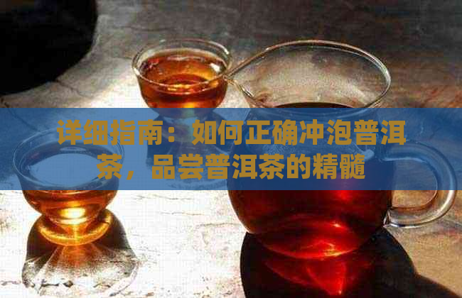 详细指南：如何正确冲泡普洱茶，品尝普洱茶的精髓