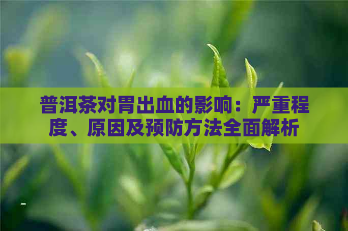 普洱茶对胃出血的影响：严重程度、原因及预防方法全面解析