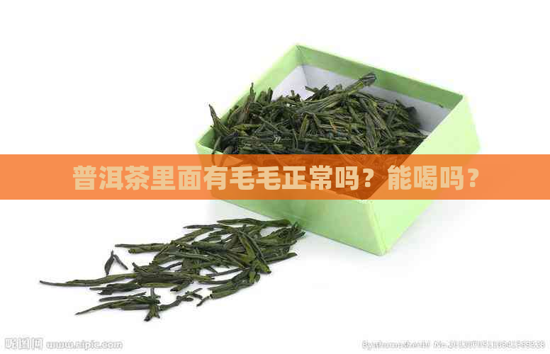 普洱茶里面有毛毛正常吗？能喝吗？