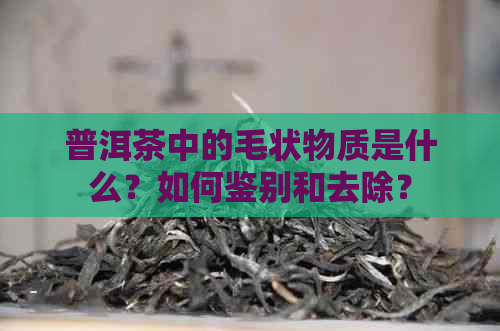 普洱茶中的毛状物质是什么？如何鉴别和去除？