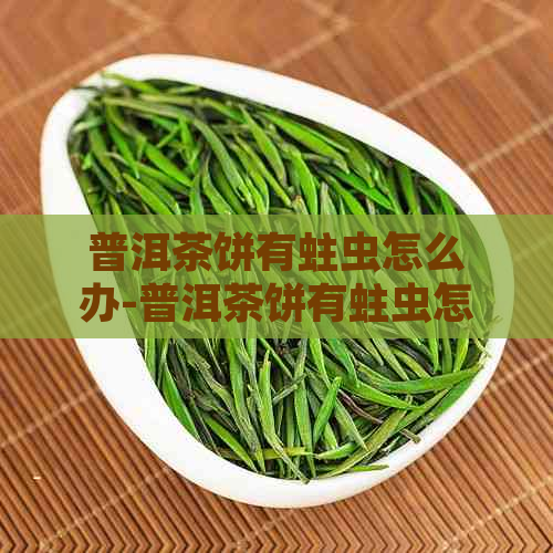 普洱茶饼有蛀虫怎么办-普洱茶饼有蛀虫怎么办呢