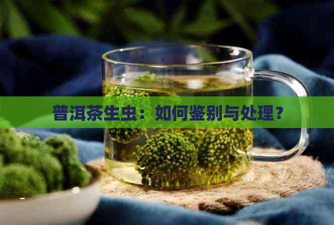 普洱茶生虫：如何鉴别与处理？