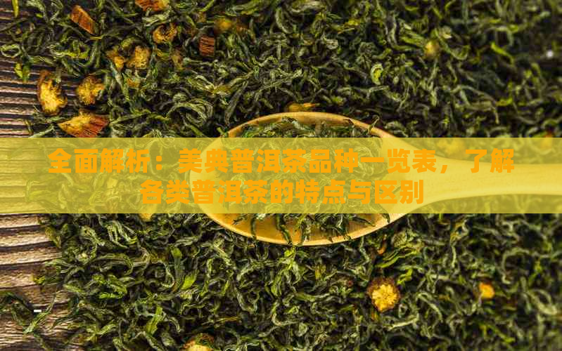 全面解析：美典普洱茶品种一览表，了解各类普洱茶的特点与区别