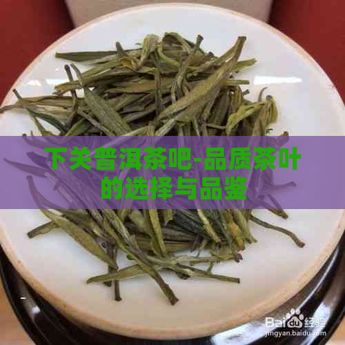 下关普洱茶吧-品质茶叶的选择与品鉴