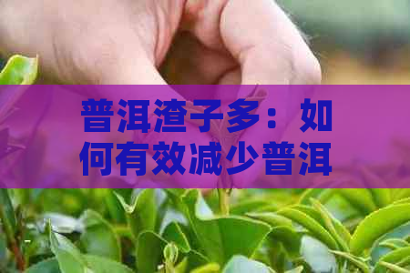 普洱渣子多：如何有效减少普洱茶中的碎渣，提高饮用体验？