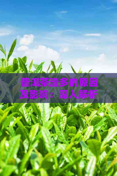 普洱茶渣多的原因及影响：深入解析茶渣现象