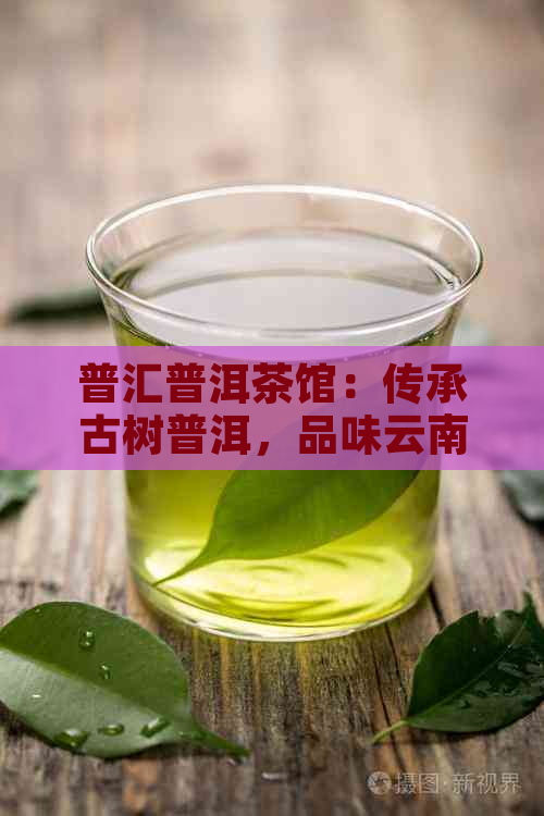 普汇普洱茶馆：传承古树普洱，品味云南风情