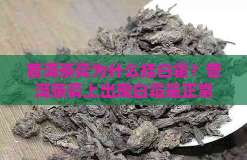 普洱茶膏为什么挂白霜？普洱茶膏上出现白霜是正常现象吗？