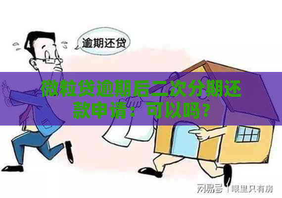 微粒贷逾期后二次分期还款申请：可以吗？