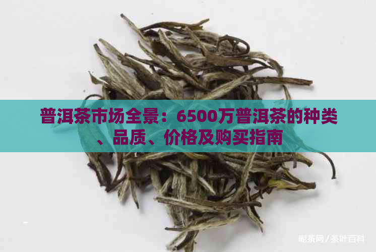 普洱茶市场全景：6500万普洱茶的种类、品质、价格及购买指南