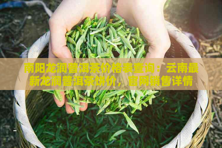 南阳龙润普洱茶价格表查询：云南最新龙润普洱茶饼价，官网销售详情