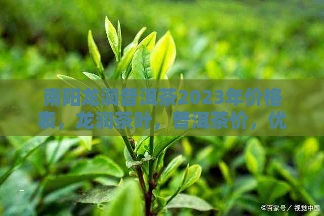 南阳龙润普洱茶2023年价格表，龙润茶叶，普洱茶价，优质茶叶推荐