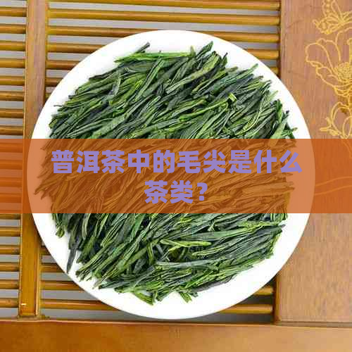 普洱茶中的毛尖是什么茶类？