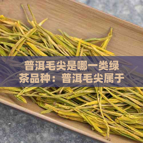 普洱毛尖是哪一类绿茶品种：普洱毛尖属于绿茶。