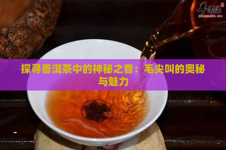 探寻普洱茶中的神秘之音：毛尖叫的奥秘与魅力