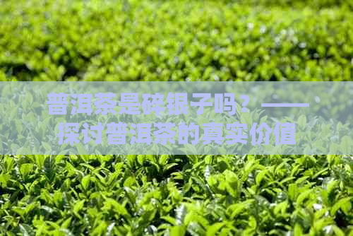 普洱茶是碎银子吗？——探讨普洱茶的真实价值