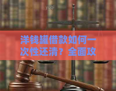 洋钱罐借款如何一次性还清？全面攻略助您轻松解决还款难题