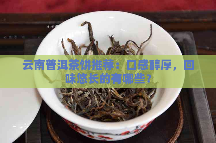 云南普洱茶饼推荐：口感醇厚，回味悠长的有哪些？