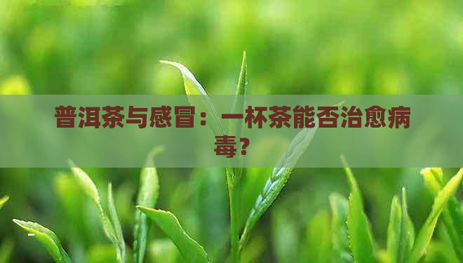 普洱茶与感冒：一杯茶能否治愈病？