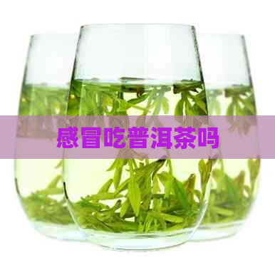 感冒吃普洱茶吗