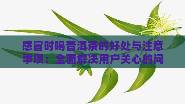 感冒时喝普洱茶的好处与注意事项：全面解决用户关心的问题