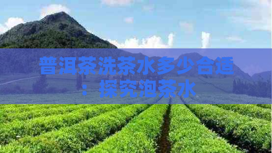 普洱茶洗茶水多少合适：探究泡茶水