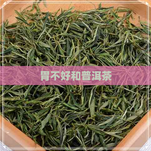 胃不好和普洱茶