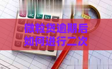 微粒贷逾期后如何进行二次分期付款？了解详细操作步骤和注意事项